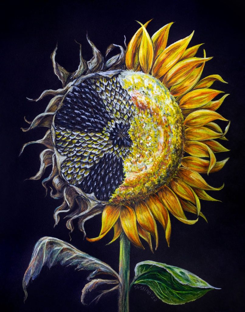 выставка sunflower экодом чернобыльская неделя ксения тырсикова