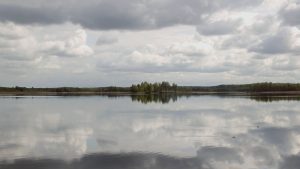 Озеро Сосна скотомогильник Должа Белвитунифарм отчет об ОВОС Экодом