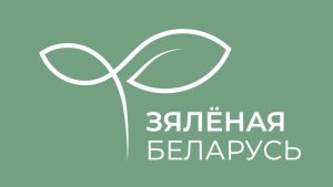 Зелёная Беларусь Зялёная Беларусь альянс экоактивисты