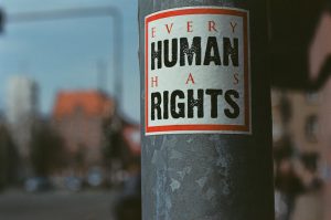 доклад правозащитники Беларусь Экодом